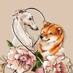 Berylline Shiba & Silken